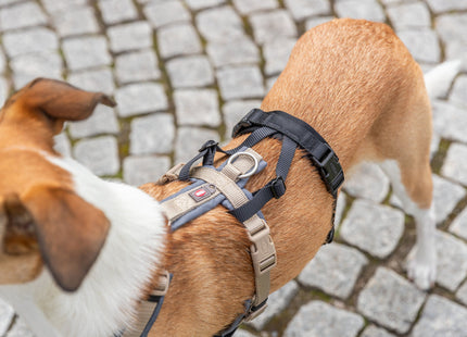 Schwarzer Panik-Adapter Stay für Geschirre von Trixie