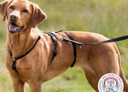 Schwarzes Trixie Panikgeschirr für sicheren Halt und Komfort beim Spazierengehen