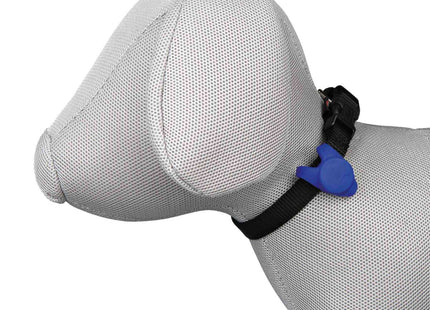 Trixie Flasher für Hunde 8 cm