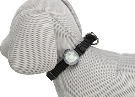 Trixie Flasher USB - hochwertiger LED-Hundeanhänger mit USB-Ladekabel