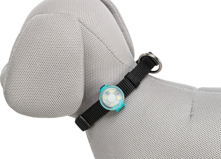 Trixie Flasher USB - hochwertiger LED-Hundeanhänger mit USB-Ladekabel