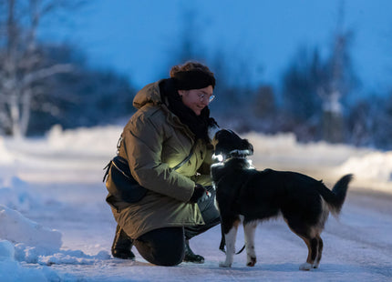 Trixie Flasher USB - hochwertiger LED-Hundeanhänger mit USB-Ladekabel