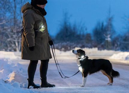 Trixie Flasher USB - hochwertiger LED-Hundeanhänger mit USB-Ladekabel