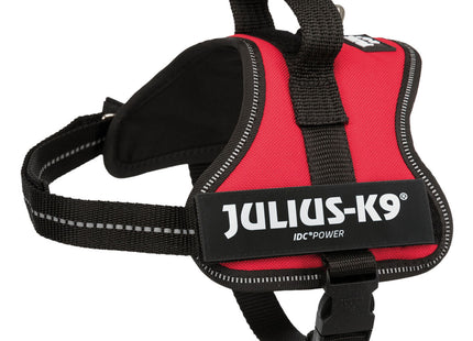 Trixie Julius-K9 Powergeschirr – Hundegeschirr rot 40-53cm
