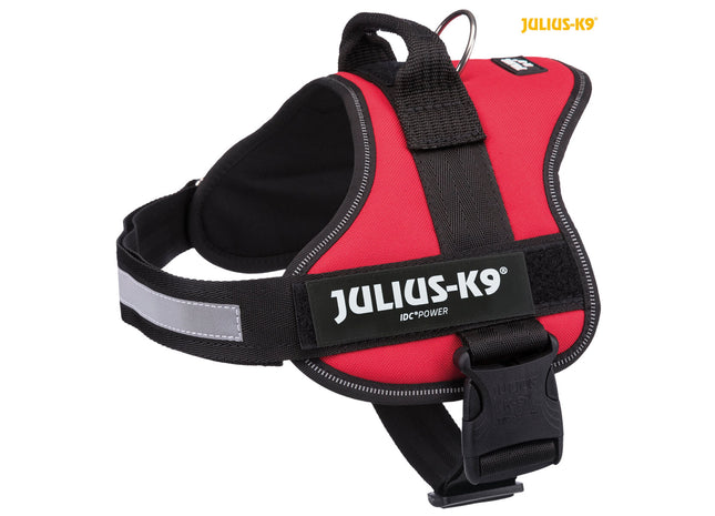 Julius-K9 Powergeschirr – rot, verstellbar, reflektierend