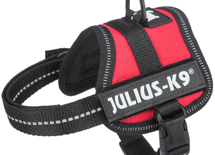 Julius-K9 Powergeschirr Baby Rot – kleines Hundegeschirr