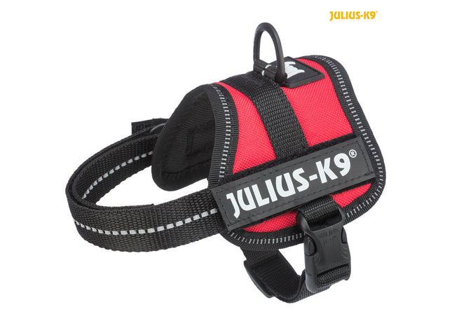Julius-K9 Powergeschirr Baby Rot – kleines Hundegeschirr