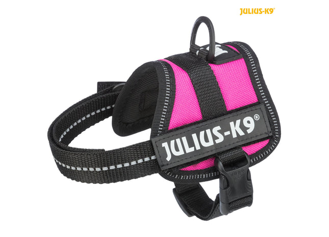 Trixie Julius-K9 Powergeschirr – Baby, Fuchsia
