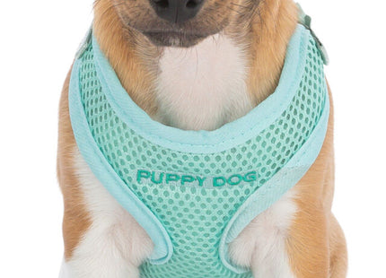 Weiches Welpen-Geschirr mit Leine in Hellgrau von Trixie Junior