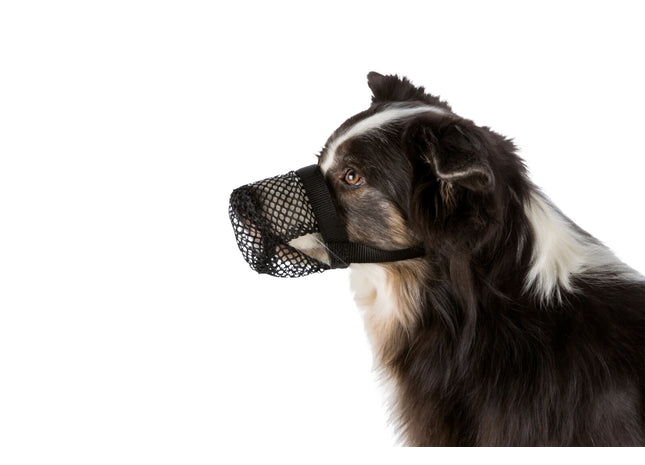 Schützendes schwarzes Polyester-Netz für Giftköder von Trixie