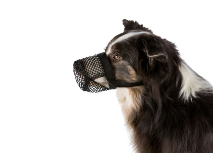 Schützendes schwarzes Polyester-Netz für Giftköder von Trixie