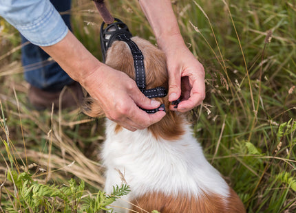 Flexibler Maulkorb aus schwarzem Silikon für Hunde von Trixie