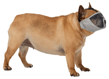 Maulkorb für kurznasige Hunde in Grau - sicher und bequem für Spaziergänge