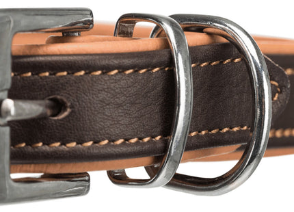 Bequemes Trixie Active Halsband in Braun-Hellbraun für aktive Hunde