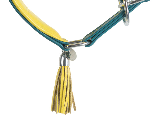 Bequemes Lederhalsband für Windhunde von Trixie