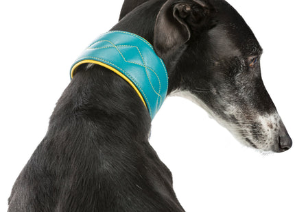 Bequemes Lederhalsband für Windhunde von Trixie