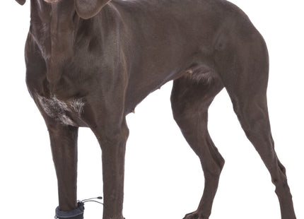 Schwarze Pfotenschutz-Ärmel für aktive Hunde, 2 Stück