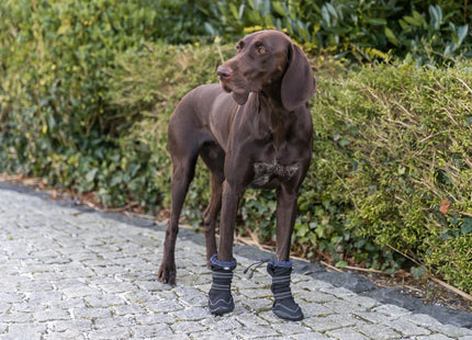 Schwarze Pfotenschutz-Ärmel für aktive Hunde, 2 Stück