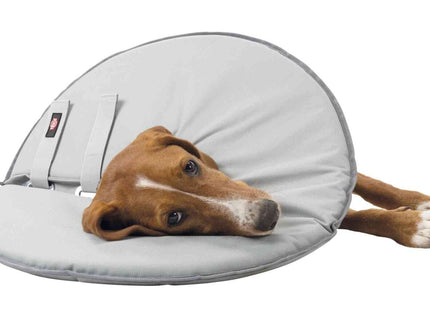 Schützender grauer Trixie Schutzkragen für Haustiere