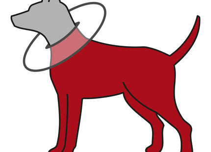 Schützender grauer Trixie Schutzkragen für Haustiere