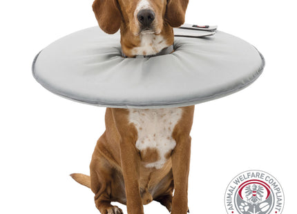 Schützender grauer Trixie Schutzkragen für Haustiere