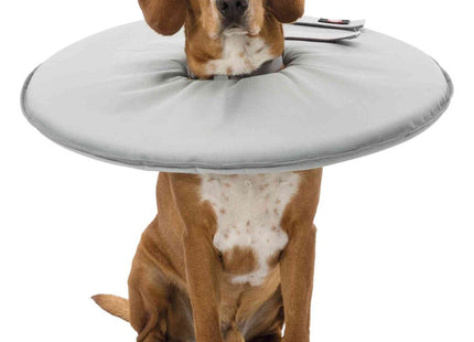 Schützender grauer Trixie Schutzkragen für Haustiere