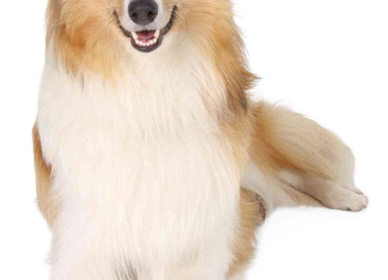 Trixie 2 Walker Care Comfort Schutzstiefel aus Nylon