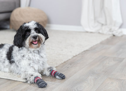 Trixie - Hundesocken, AntiRutsch 2Stk.