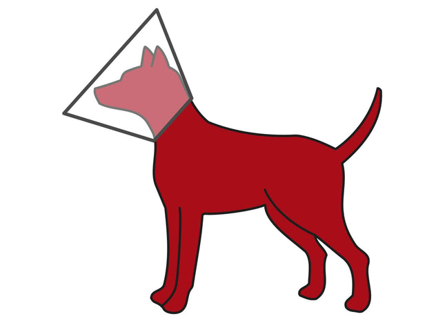 Trixie - Schutzkragen, Kunststoff, mit Klettverschluss