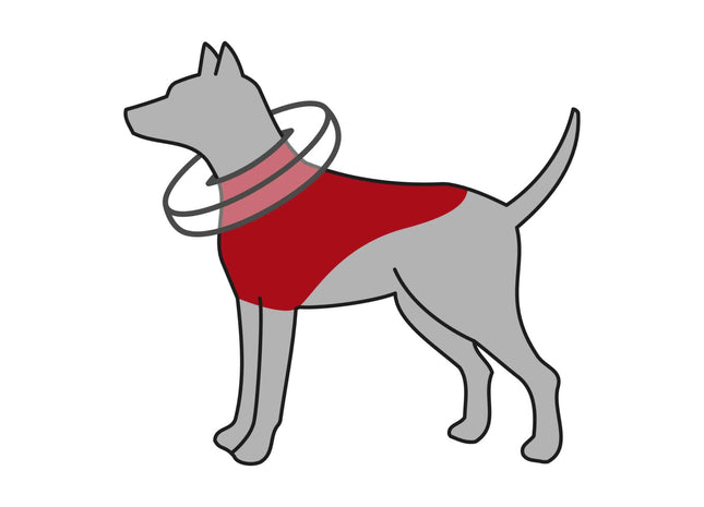 Aufblasbarer blauer Schutzkragen für Haustiere von Trixie