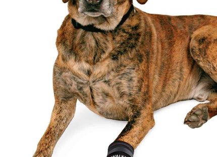 Schwarze Trixie Walker Schutzstiefel für Hunde