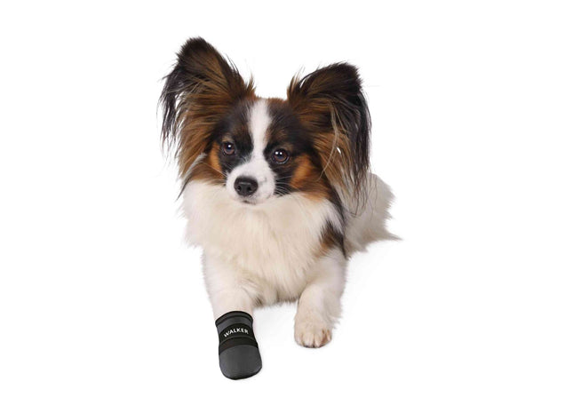 Schwarze Trixie Walker Schutzstiefel für Hunde