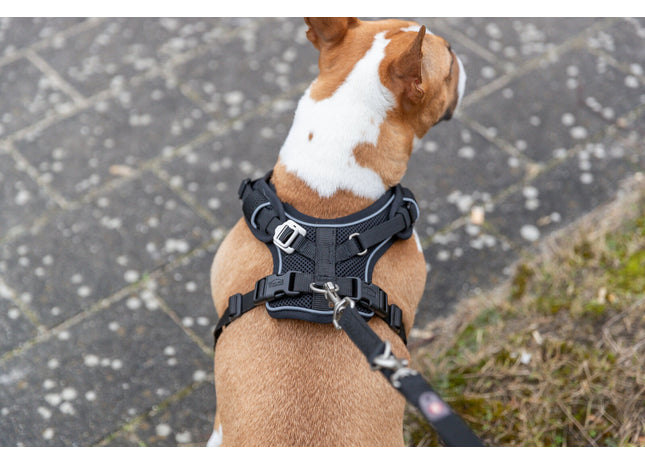 Trixie Premium FlexMesh Geschirr – schwarz, XS-S