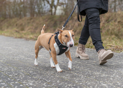 Trixie Premium FlexMesh Geschirr – schwarz, XS-S