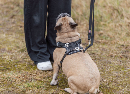 Trixie Premium FlexMesh Geschirr – schwarz, XS-S