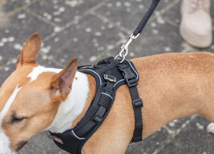 Trixie Premium FlexMesh Geschirr – schwarz, XS-S