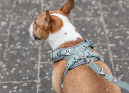 Trixie Premium FlexMesh Geschirr – Salbei, XS-S, breit