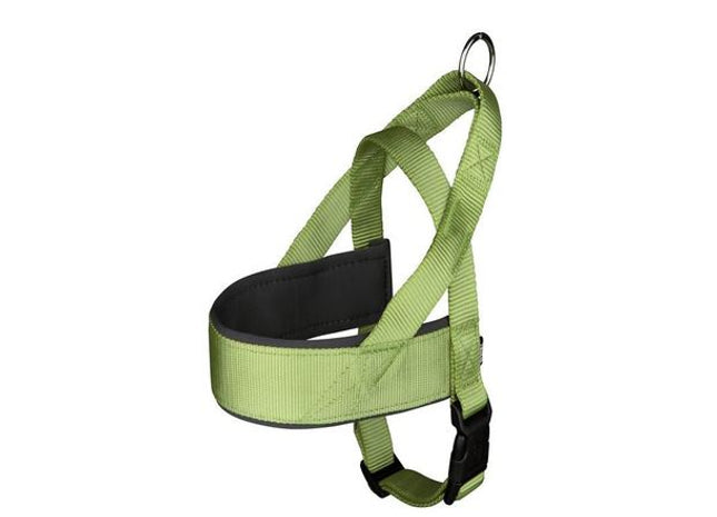 Bequemes Premium-Geschirr in Lindgrün für deinen vierbeinigen Liebling