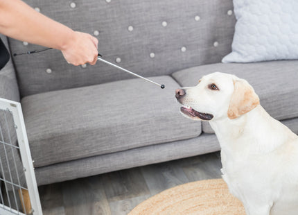 Trixie Target Stick mit integriertem Clicker für Hundetraining