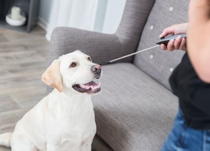 Trixie Target Stick mit integriertem Clicker für Hundetraining