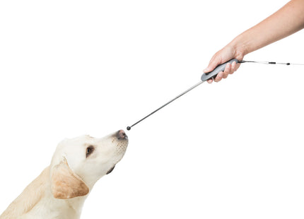 Trixie Target Stick mit integriertem Clicker für Hundetraining