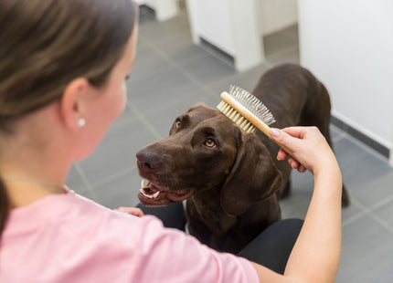 Trixie Bambus Bürste mit Natur- & Metallborsten, beidseitig