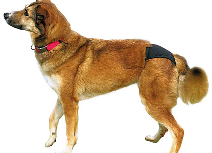 Schwarzes Deluxe-Schutzhöschen von Trixie für Hunde