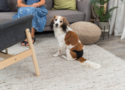 Schwarzes Deluxe-Schutzhöschen von Trixie für Hunde