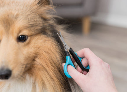 Trixie Gesichts- und Pfotenschere 9.5 cm