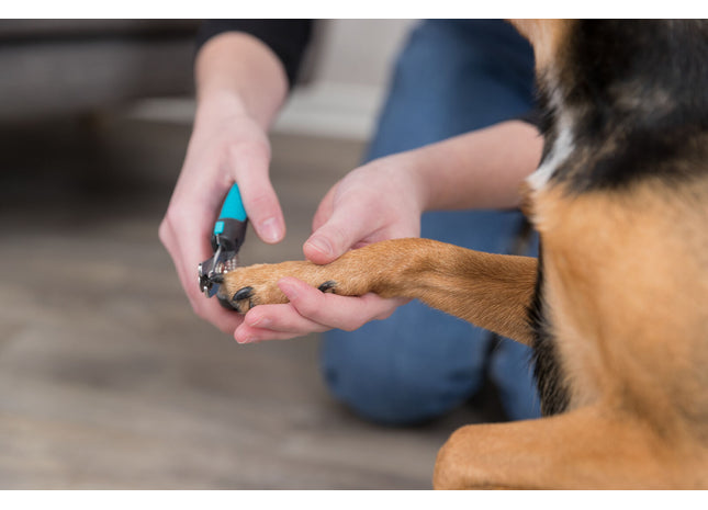 Trixie Krallenschere de Luxe für Haustiere