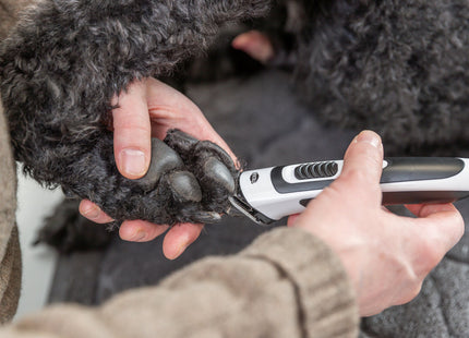 Trixie Schermaschine Slim TR500 – Akku, weiss/schwarz