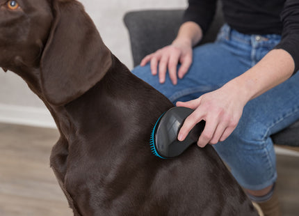 Trixie Softbürste 19 cm - Hochwertige Bürste für schonendes und effektives Entwirren von Tierfell