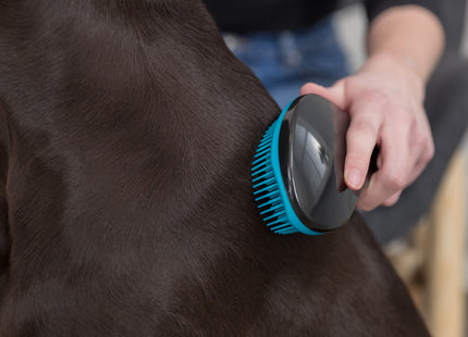 Trixie Softbürste 19 cm - Hochwertige Bürste für schonendes und effektives Entwirren von Tierfell