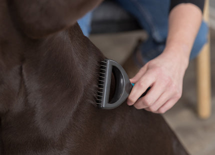 Trixie Universal-Striegel für Hunde 19 cm - Effektives Hundebürsten zur Fellpflege und Entfernung von lose Haaren